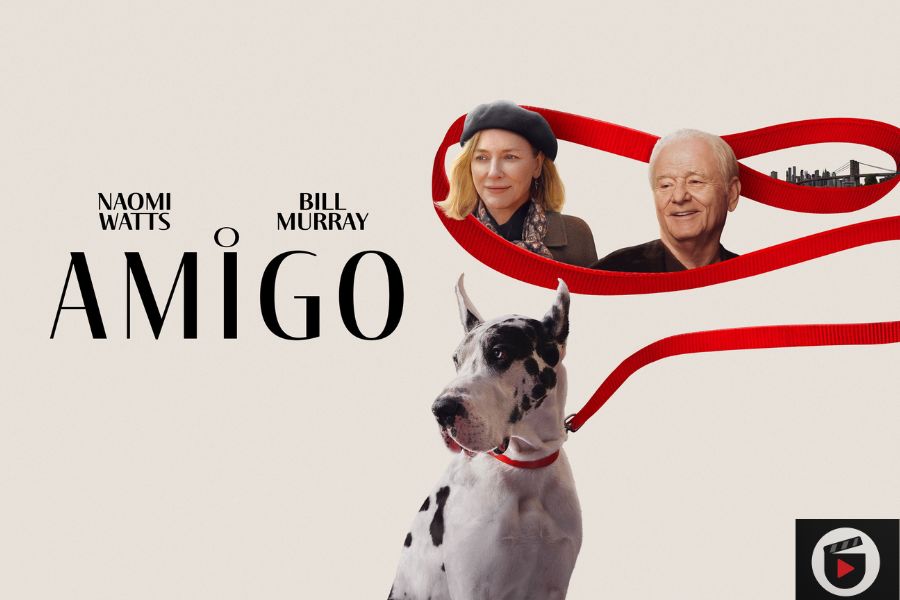 Filme O Amigo